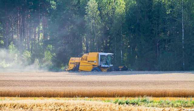 combine harvester working in wheat field Ireland golden light
