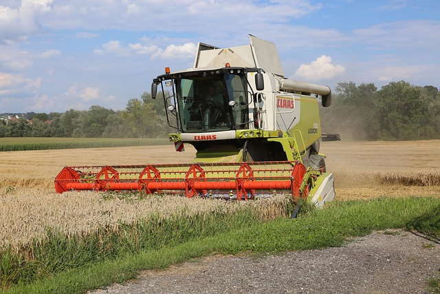 harvesting machine combine in wheat field Ireland documentary style